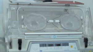 09082023_inkubator_MAJDANPEK.jpg