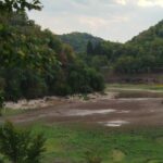 ZaMedia: Jezero u Majdanpeku presušilo, mrtva riba pluta po površini vode