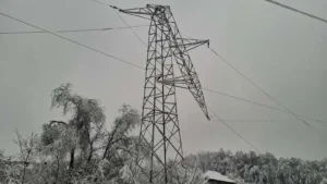 TANJUG, Elektrodistribucija Srbije, EDS, struja, električna energija, sneg-695fb40a75f4b