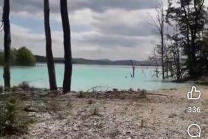 image_editor_output_image-1407876685-1769157440923