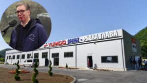 Untitled design (11)