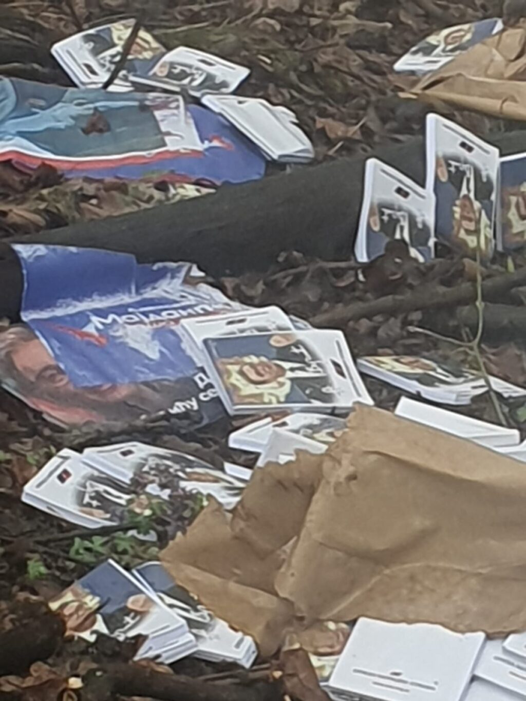 img-f7b8bd7da48378ac9b3fc81c4ff8de9f-v3305372706837375486