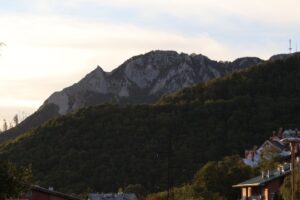 img_02672112741319576169993