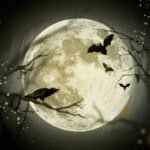 HALLOWEEN JE SVE BLIŽE: ŠTA JOŠ KRIJE MERIDIAN KALENDAR?